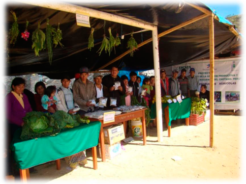 Comités de productores de la microcuenca del Chotano – Cutervo, participan de la I Feria Agroindustrial para la promoción de productos agrícolas.