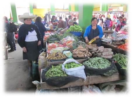 Resultados del Convenio “Seguridad Alimentaria Nutricional y Promoción de la Salud de Poblaciones Rurales, en Bolivia y Perú”