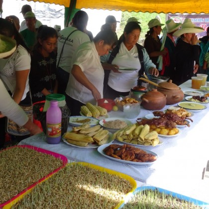 SOSTENIBILIDAD DEL CONVENIO “Seguridad Alimentaria, Nutricional y Promoción de la Salud de Poblaciones Rurales de Bolivia y Perú”