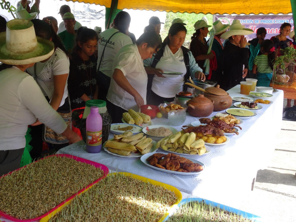 SOSTENIBILIDAD DEL CONVENIO “Seguridad Alimentaria, Nutricional y Promoción de la Salud de Poblaciones Rurales de Bolivia y Perú”