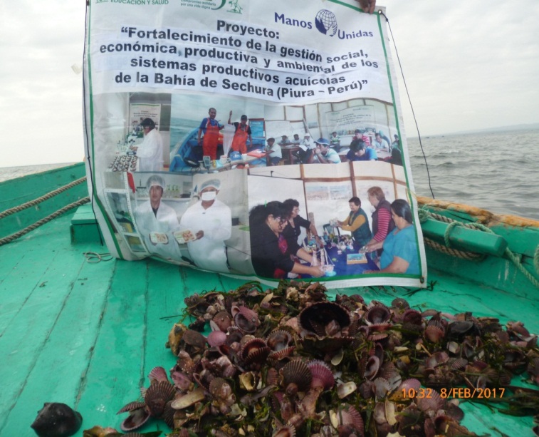 Unidades Productivas en la Bahía de Sechura (Piura – Perú) afectadas por el Niño Costero.